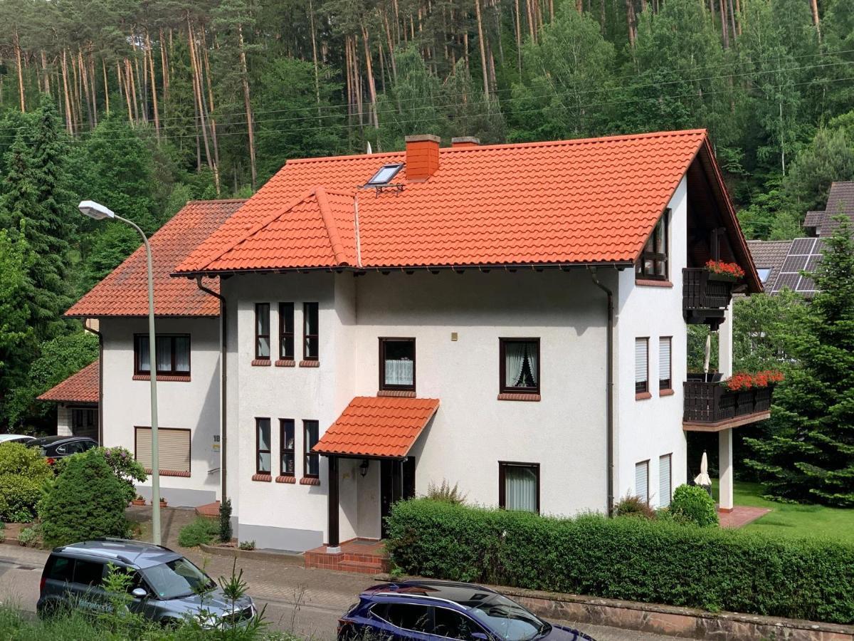 Ferienwohnungen Im Herzen Des Pfaelzerwaldes Elmstein Εξωτερικό φωτογραφία