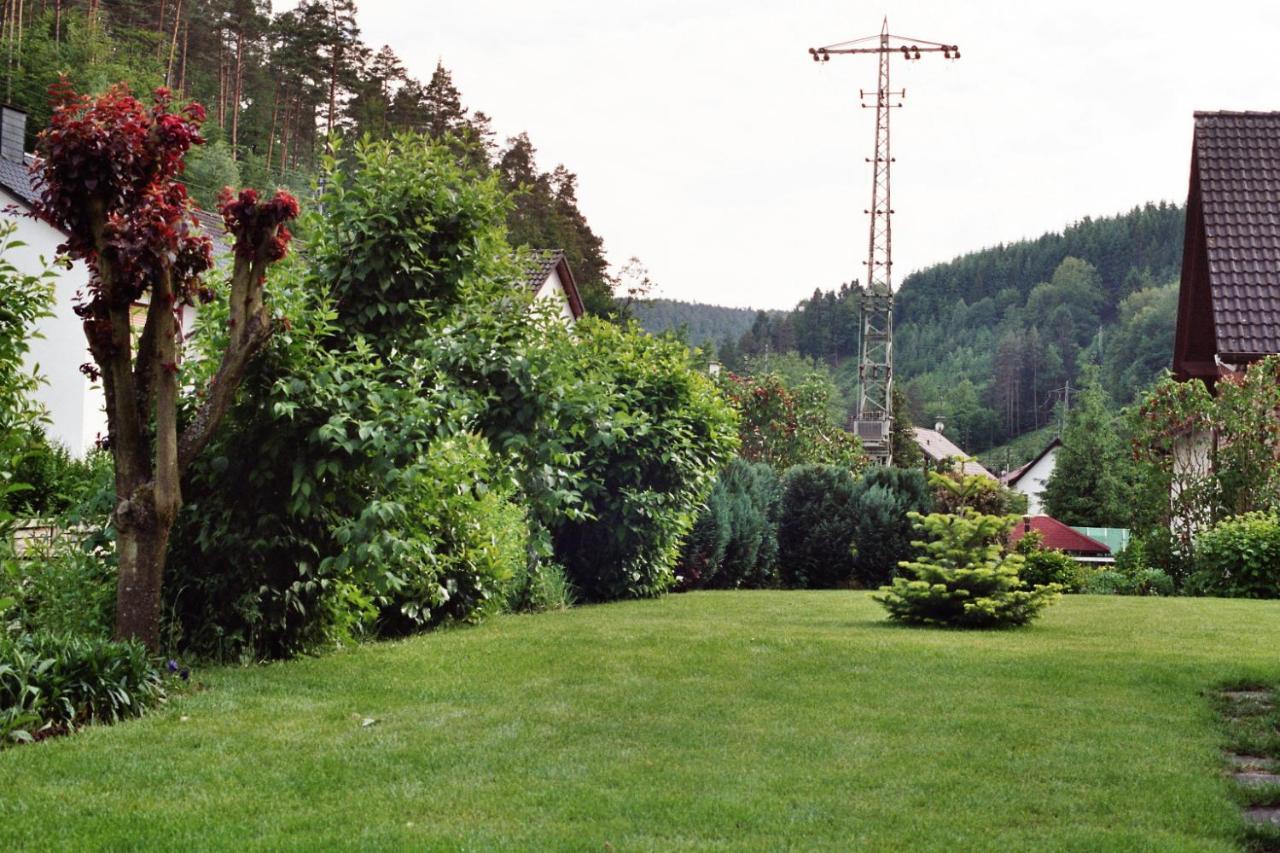 Ferienwohnungen Im Herzen Des Pfaelzerwaldes Elmstein Εξωτερικό φωτογραφία