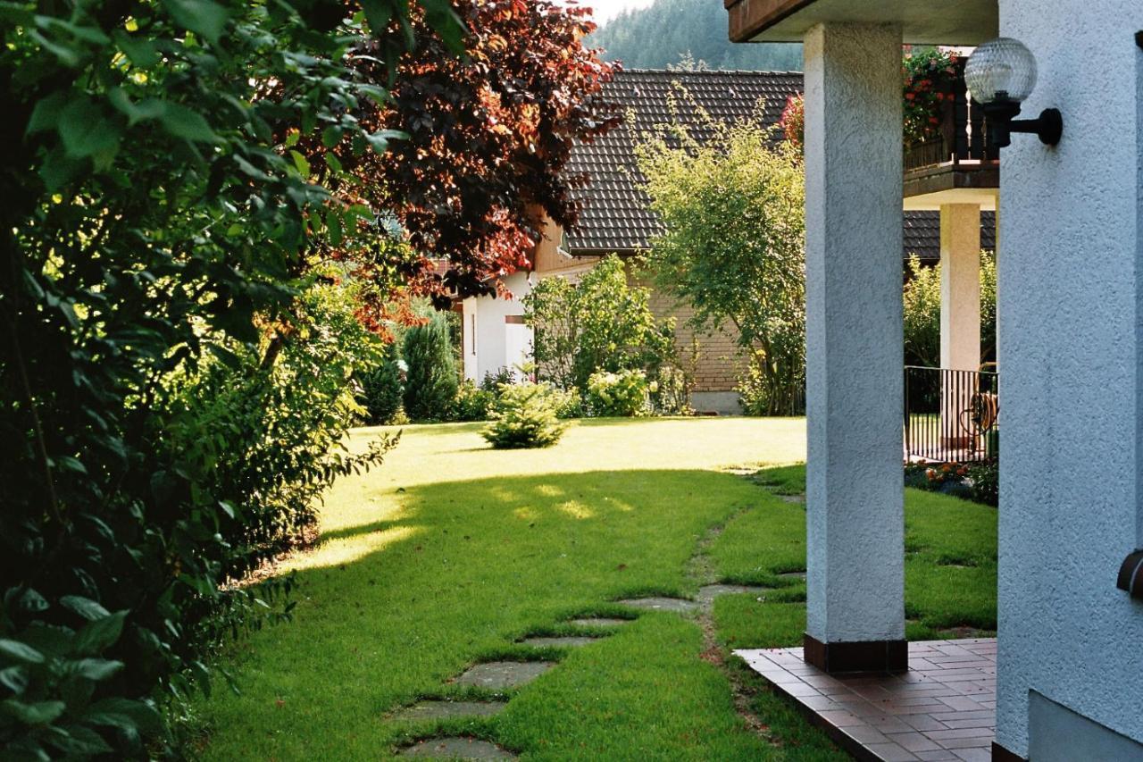 Ferienwohnungen Im Herzen Des Pfaelzerwaldes Elmstein Εξωτερικό φωτογραφία