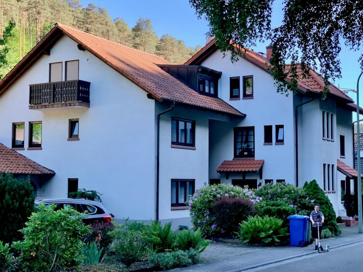 Ferienwohnungen Im Herzen Des Pfaelzerwaldes Elmstein Εξωτερικό φωτογραφία
