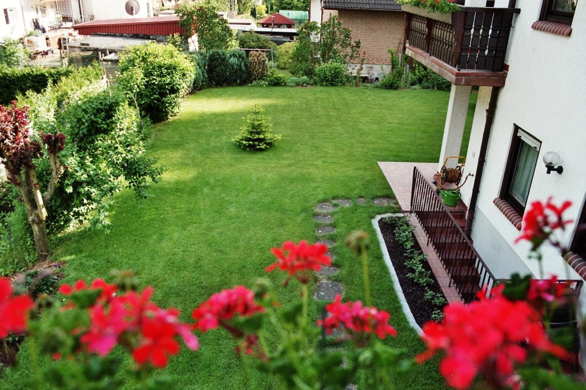 Ferienwohnungen Im Herzen Des Pfaelzerwaldes Elmstein Δωμάτιο φωτογραφία